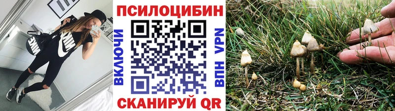 Псилоцибиновые грибы мухоморы  darknet Telegram  Новоуральск  цены  